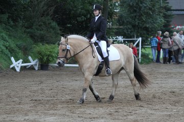 Bild 403 - WBO-Turnier am 18.9.11